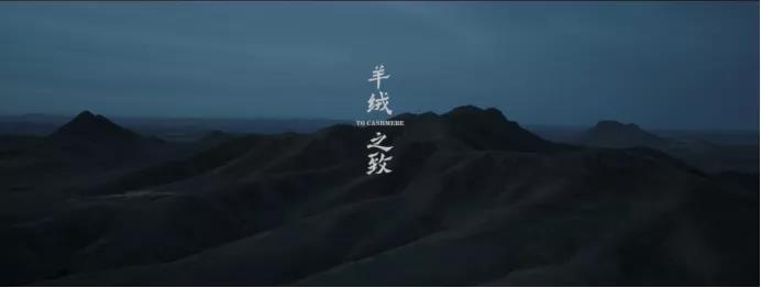 电商RPA丨实在智能签约鄂尔多斯,您的数字化温暖套餐已派送!